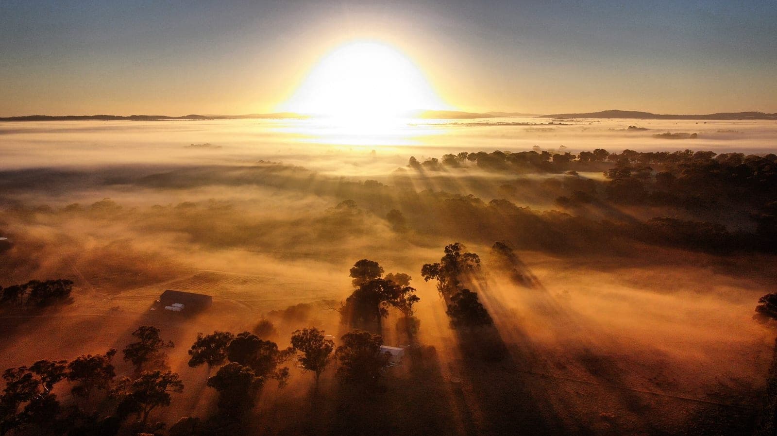 Sunrise from above: the farm's gums and sheds casting long shadows through a blanket of golden fog over the Macedon Ranges