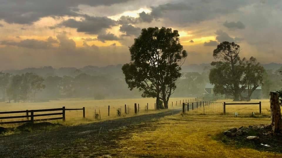 Golden evening mist hanging over the farm gate and driveway after rain