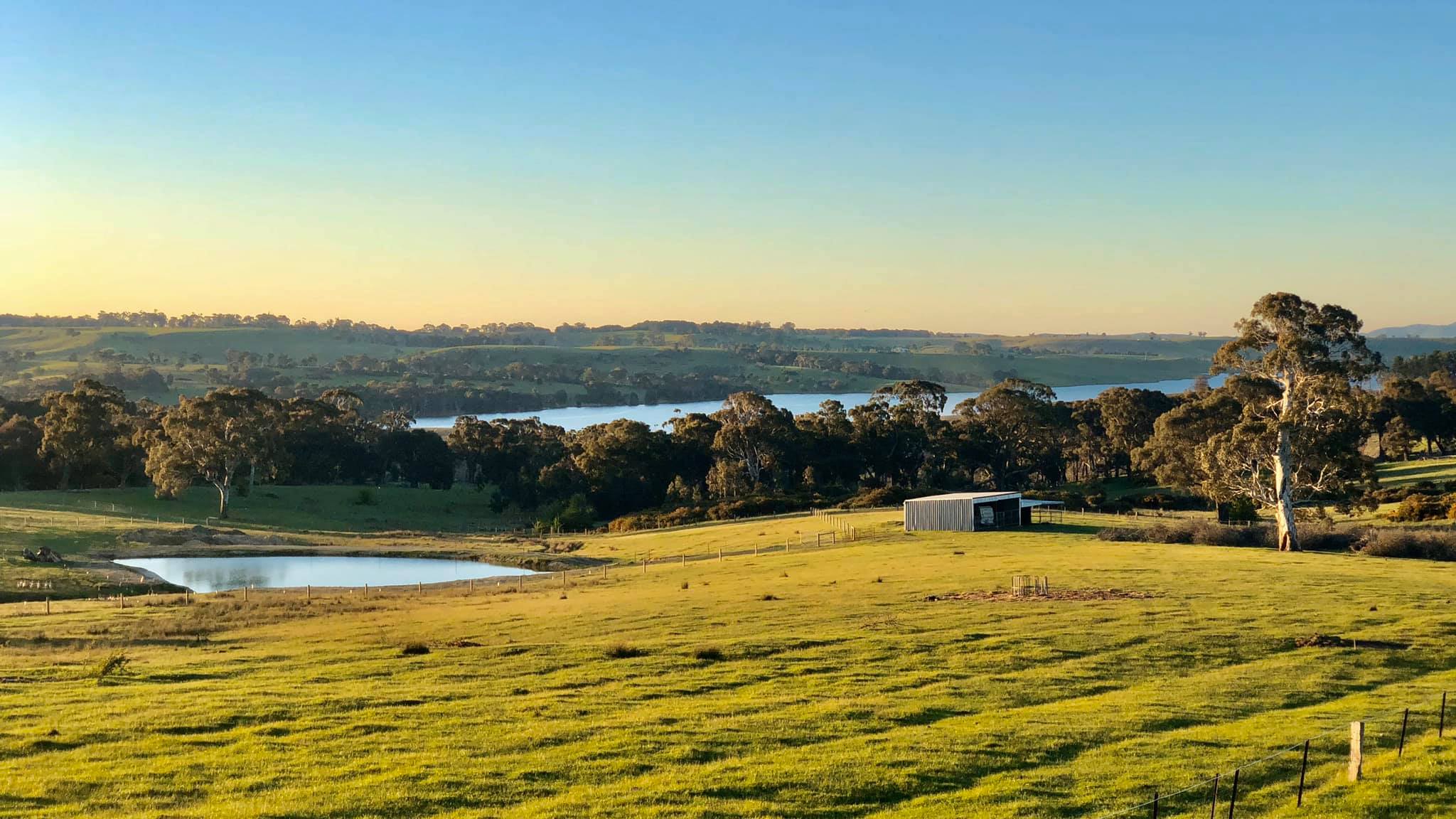 Take a look 3 Bears Farm